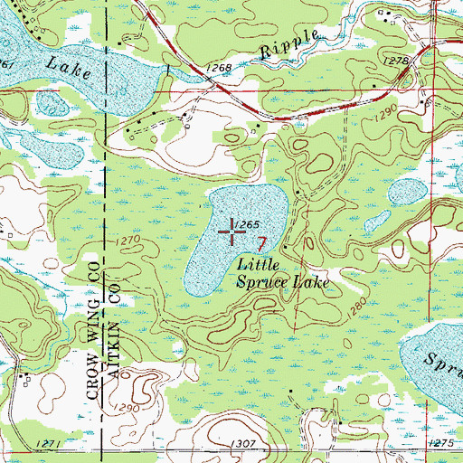Topographic Map of Little Spruce Lake, MN