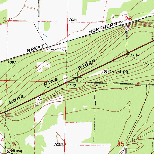 Topographic Map of Lone Pine Ridge, MN