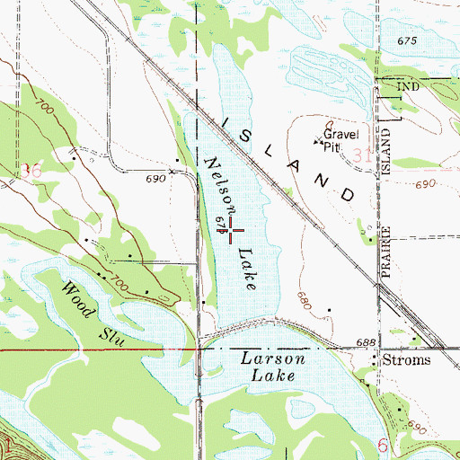 Topographic Map of Nelson Lake, MN