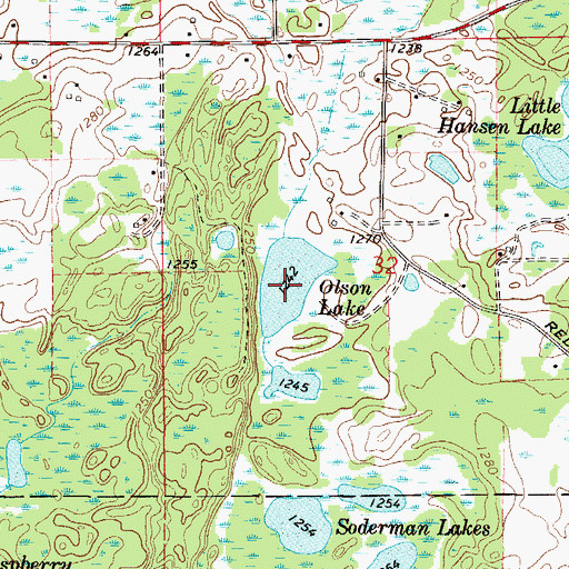 Topographic Map of Olson Lake, MN