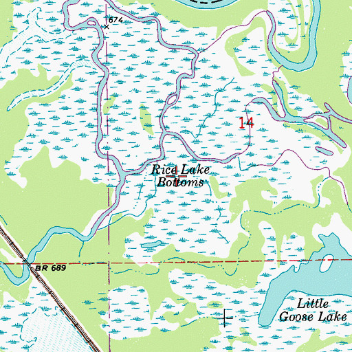 Topographic Map of Rice Lake Bottoms, MN