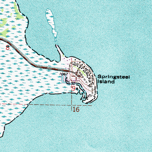 Topographic Map of Springsteel Island, MN