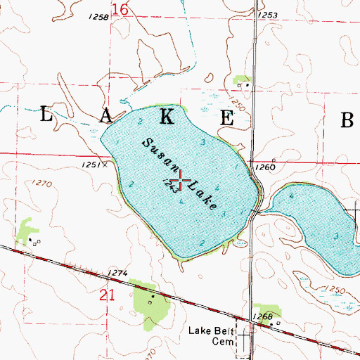 Topographic Map of Susan Lake, MN