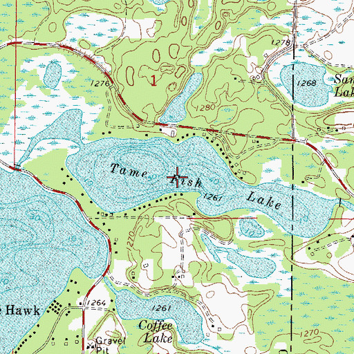 Topographic Map of Tame Fish Lake, MN