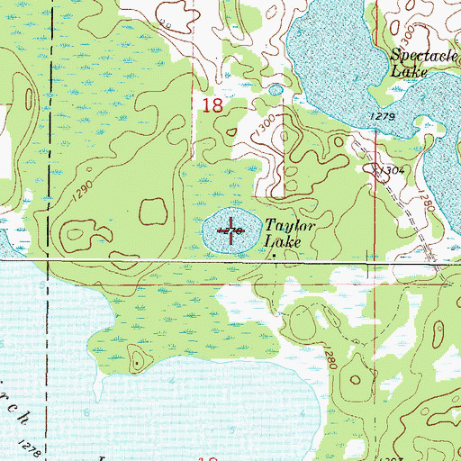 Topographic Map of Taylor Lake, MN