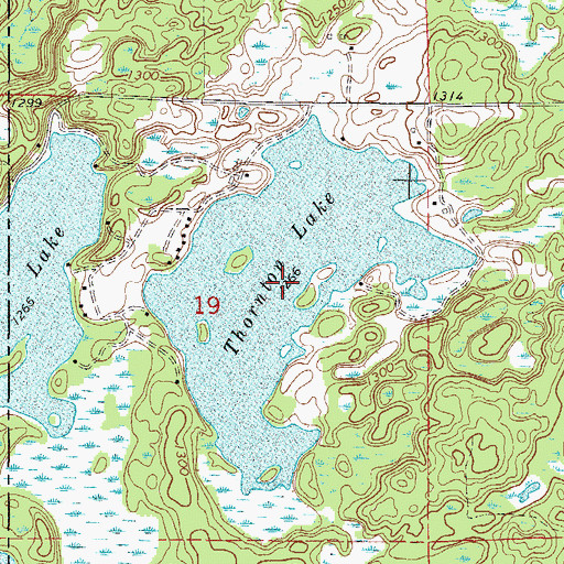 Topographic Map of Thornton Lake, MN