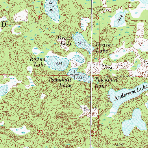 Topographic Map of Townhall Lake, MN