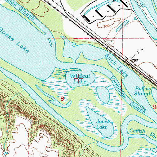 Topographic Map of Wildcat Lake, MN