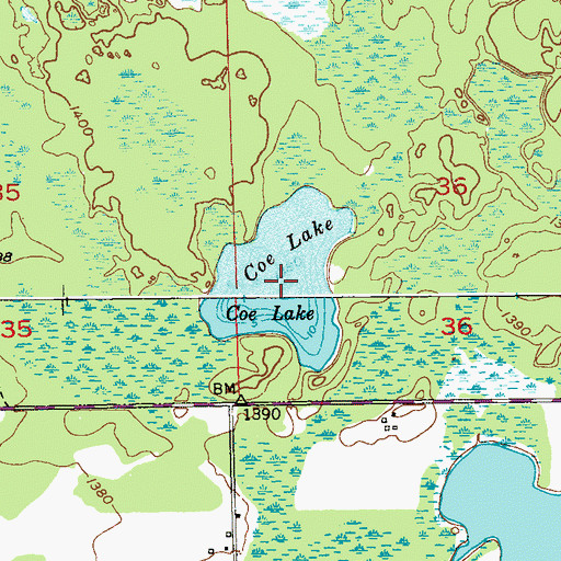 Topographic Map of Coe Lake, MN
