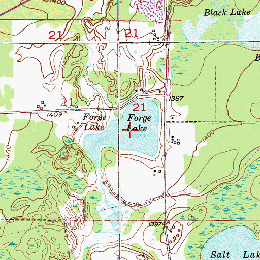 Topographic Map of Forge Lake, MN