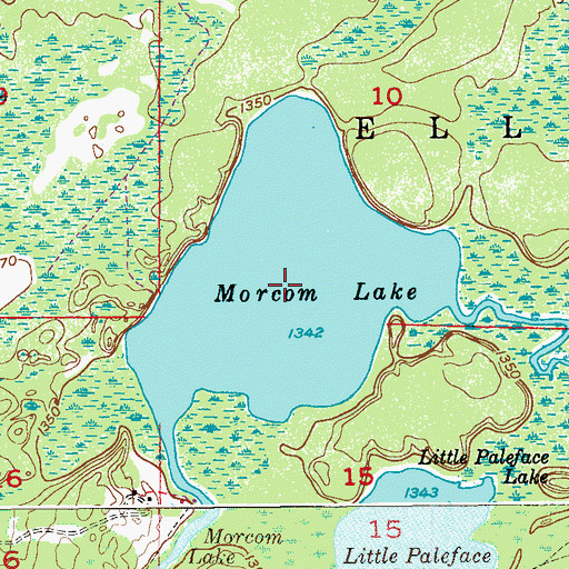 Topographic Map of Morcom Lake, MN