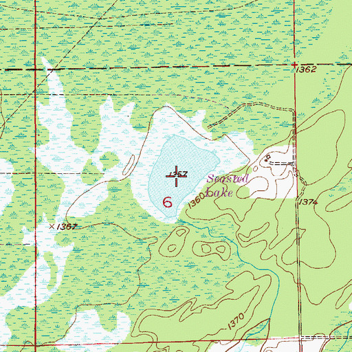 Topographic Map of Seasted Lake, MN