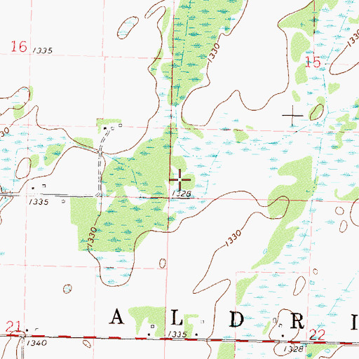 Topographic Map of Township of Aldrich, MN