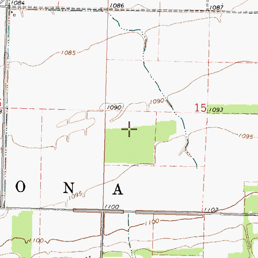 Topographic Map of Township of Laona, MN