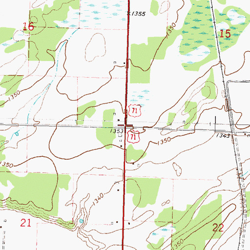 Topographic Map of Township of Leaf River, MN