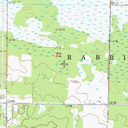 Topographic Map of Township of Rabbit Lake, MN