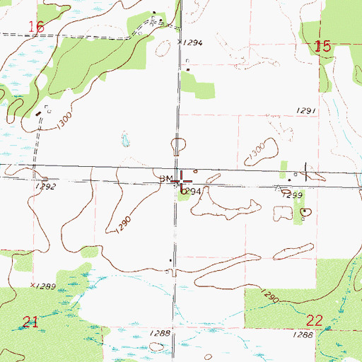 Topographic Map of Township of Wing River, MN