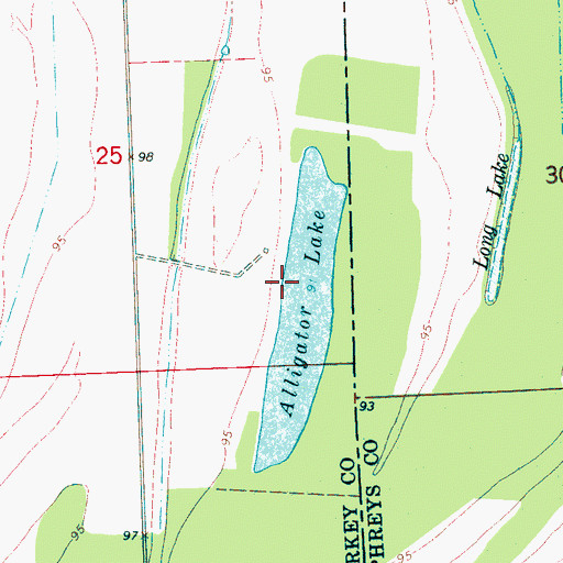 Topographic Map of Alligator Lake, MS