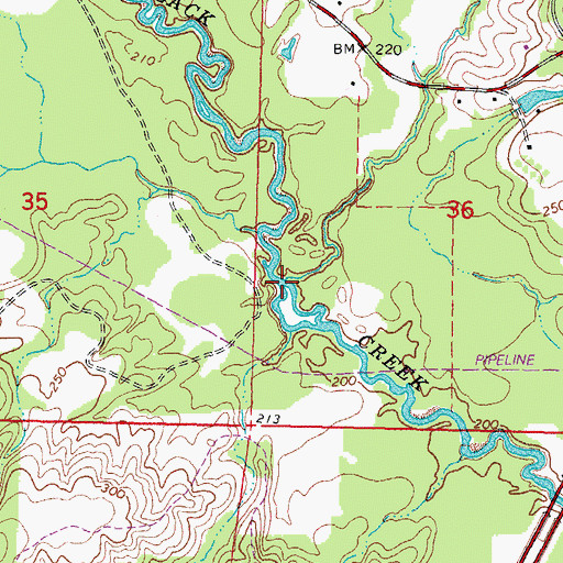 Topographic Map of Black Tom Creek, MS