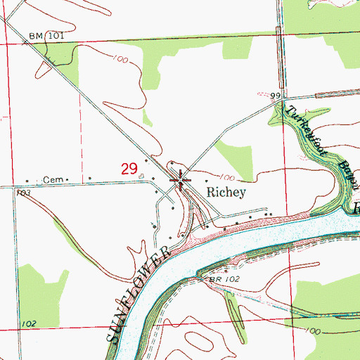 Topographic Map of Richey, MS