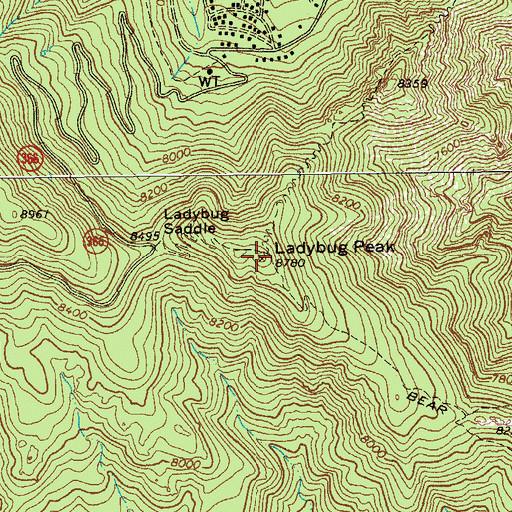 Topographic Map of Ladybug Peak, AZ