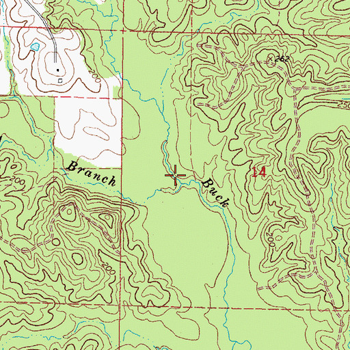 Topographic Map of Driving Branch, MS