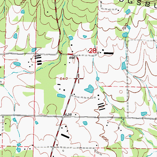Topographic Map of Township of Bayliss, AR