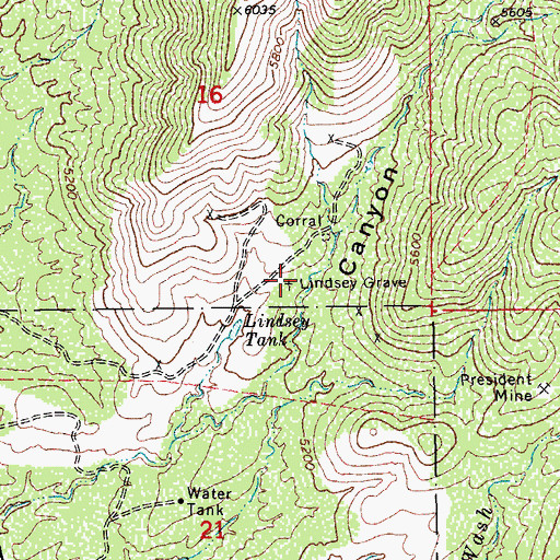Topographic Map of Lindsey Grave, AZ