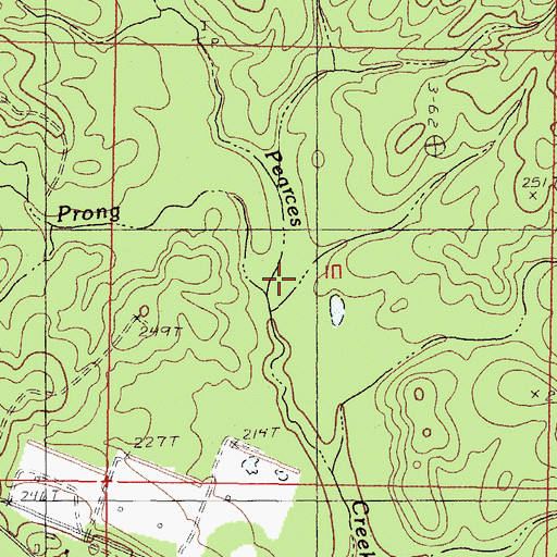 Topographic Map of Water Prong, MS