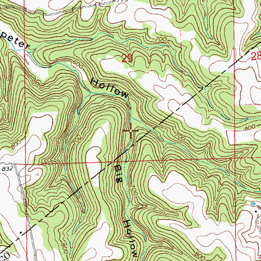 Topographic Map of Big Hollow, MO