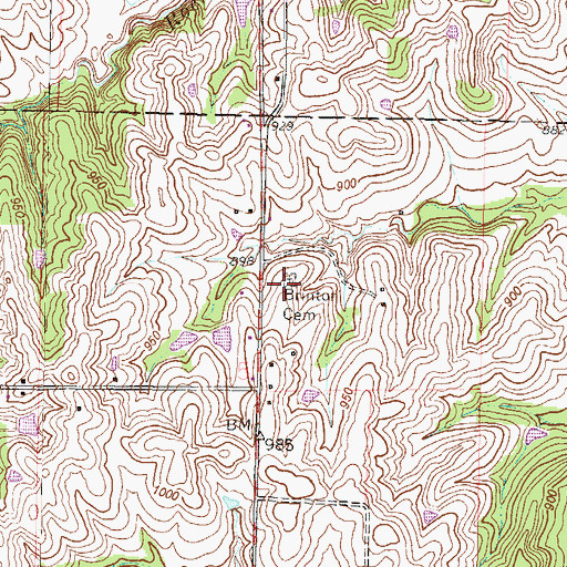 Topographic Map of Brinton Cemetery, MO
