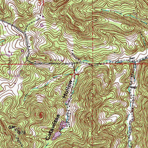 Topographic Map of Catawissa Hollow, MO