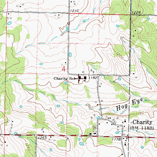 Topographic Map of Charity School, MO