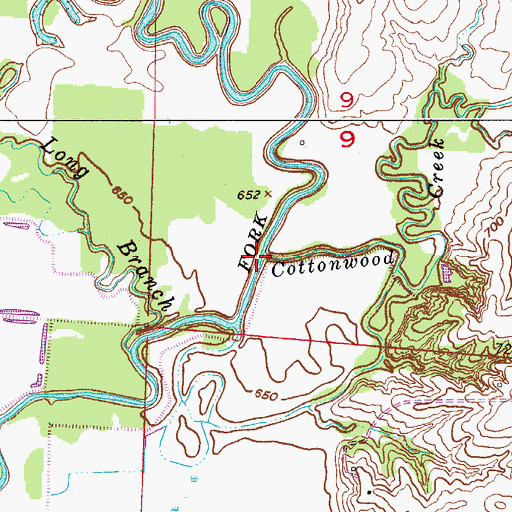 Topographic Map of Cottonwood Creek, MO