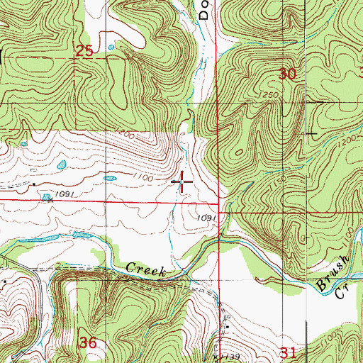 Topographic Map of Dog Hollow, MO