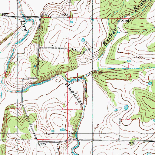 Topographic Map of Esther Branch, MO