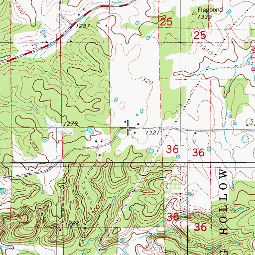 Topographic Map of Flag Pond School, MO