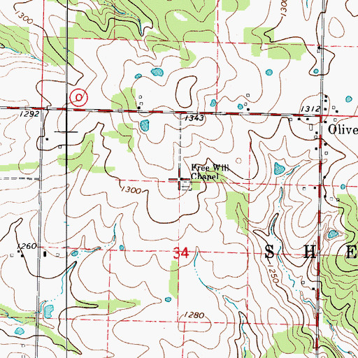 Topographic Map of Free Will Chapel, MO