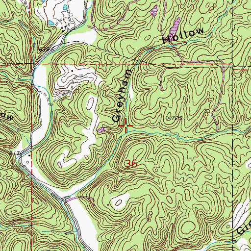 Topographic Map of Lepp Hollow, MO