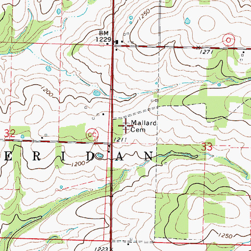 Topographic Map of Mallard Cemetery, MO