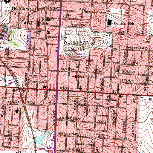 Topographic Map of McCoy School, MO