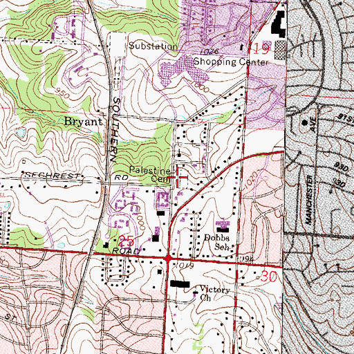 Topographic Map of Palestine Cemetery, MO