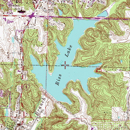 Topographic Map of Riss Lake, MO
