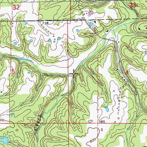 Topographic Map of Schlanker Branch, MO