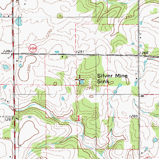Topographic Map of Silver Mine Sink, MO