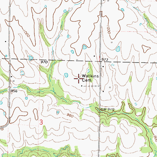 Topographic Map of Watkins Cemetery, MO