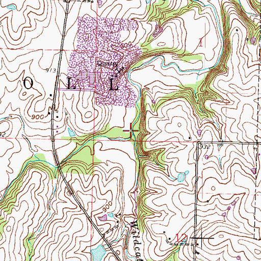 Topographic Map of Wildcat Branch, MO