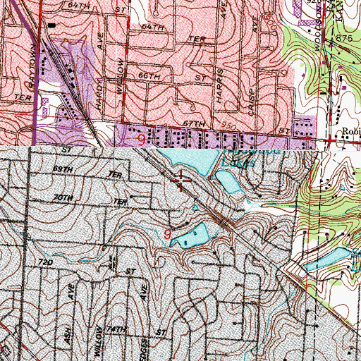 Topographic Map of Wildwood Lakes, MO