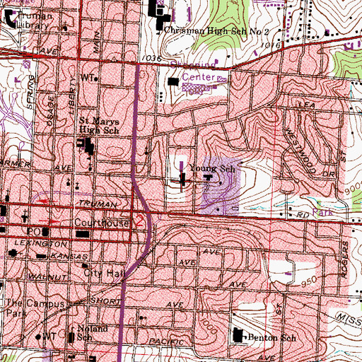 Topographic Map of Young School, MO