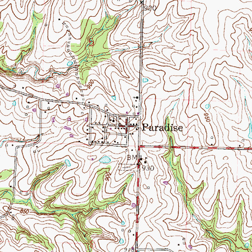 Topographic Map of Paradise, MO
